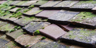 Llanbadoc roof repair costs